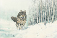 Fresh Powder